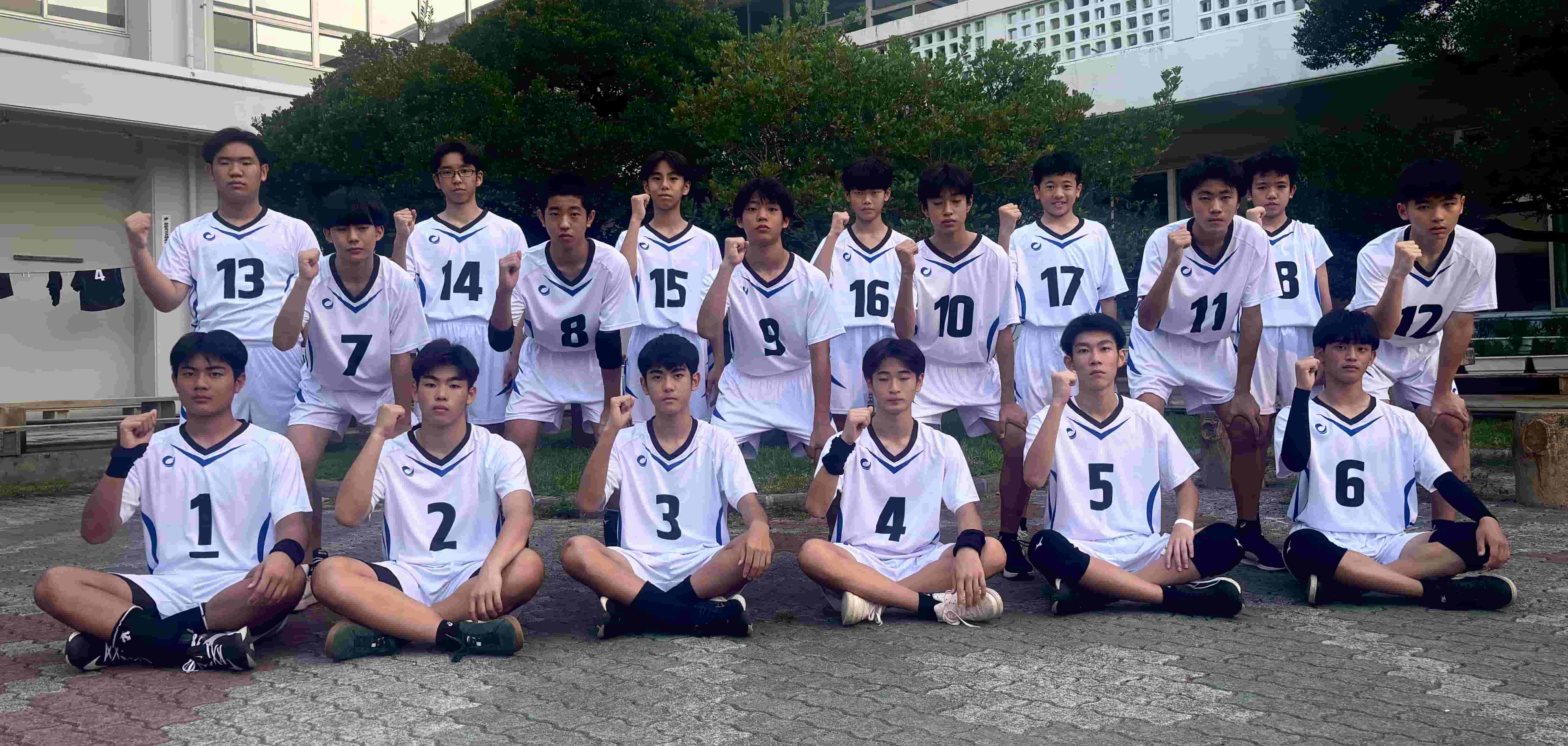 お客様からの声