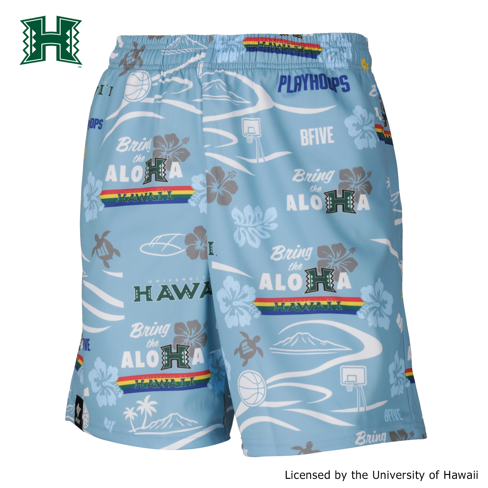 ハワイ大学