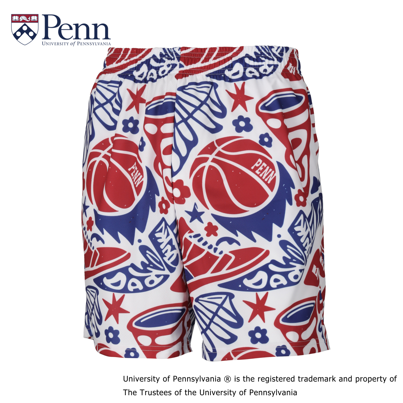 ペンシルベニア大学